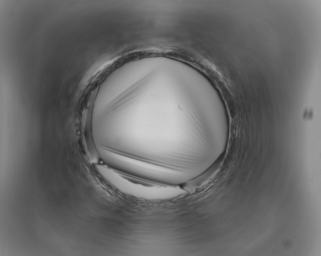 X0000095521448200801111425