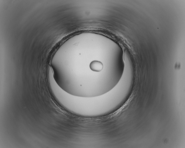 X0000095521449200801111425