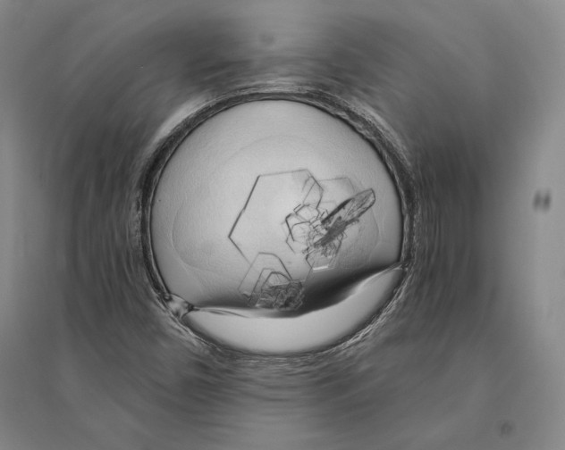 X0000095521450200801111425