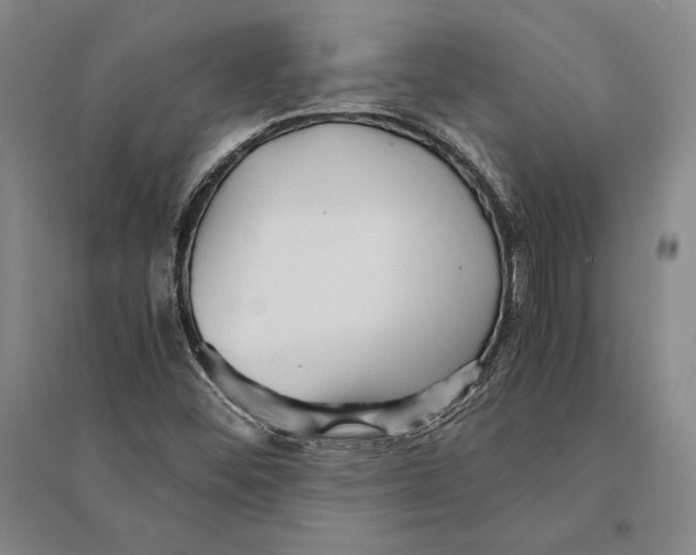 X0000095521452200801111425