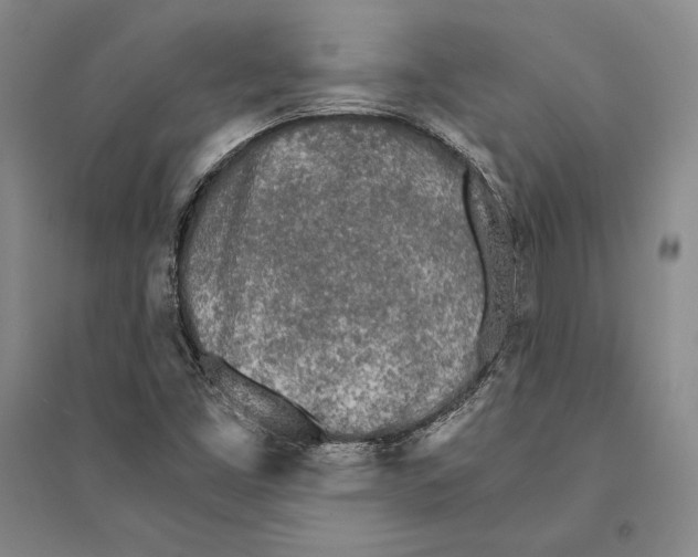 X0000095521453200801111425