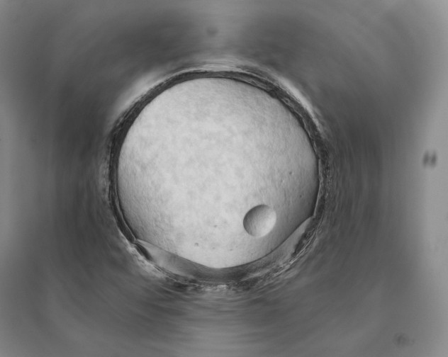 X0000095521456200801111425