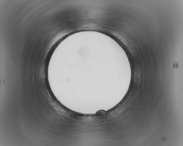 X0000095521458200801111425