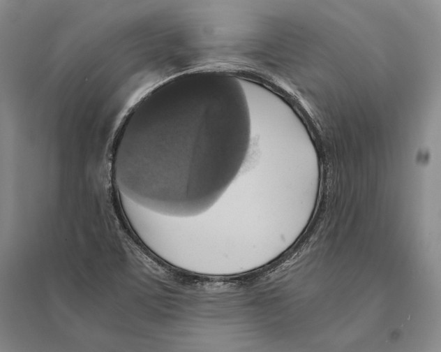 X0000095521459200801111425