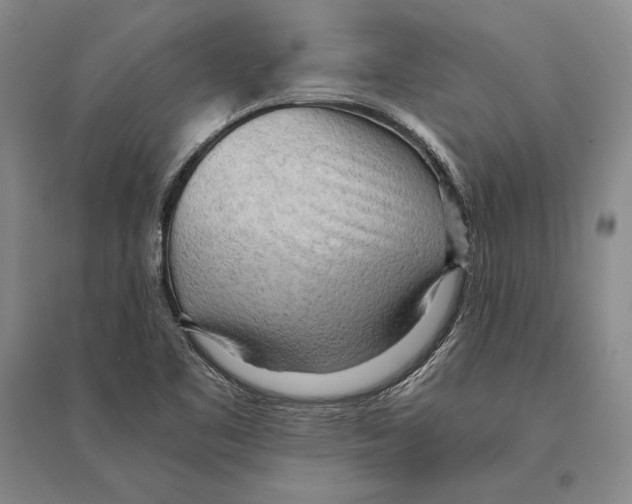 X0000095521461200801111425