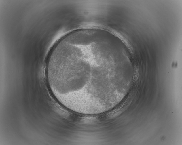 X0000095521462200801111425