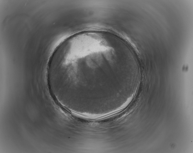 X0000095521463200801111425