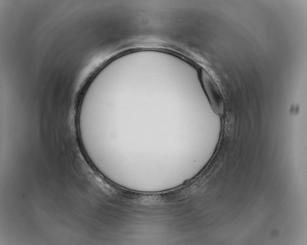 X0000095521464200801111425