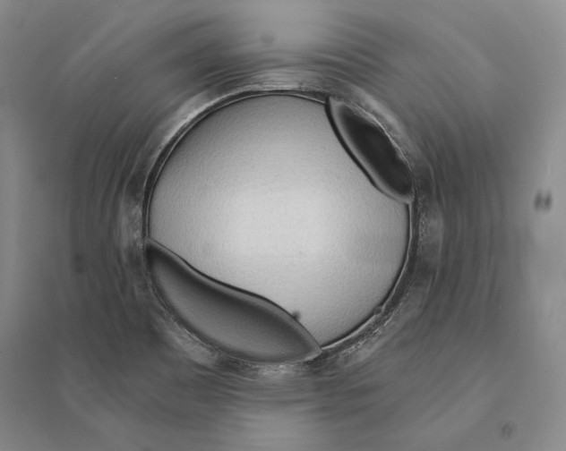 X0000095521465200801111425