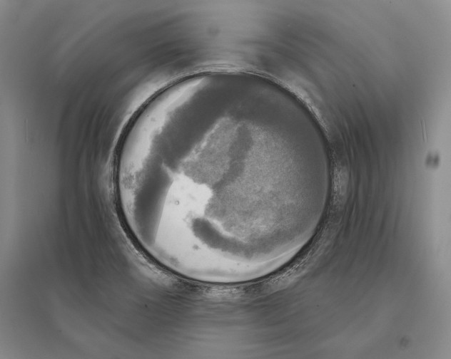 X0000095521466200801111425