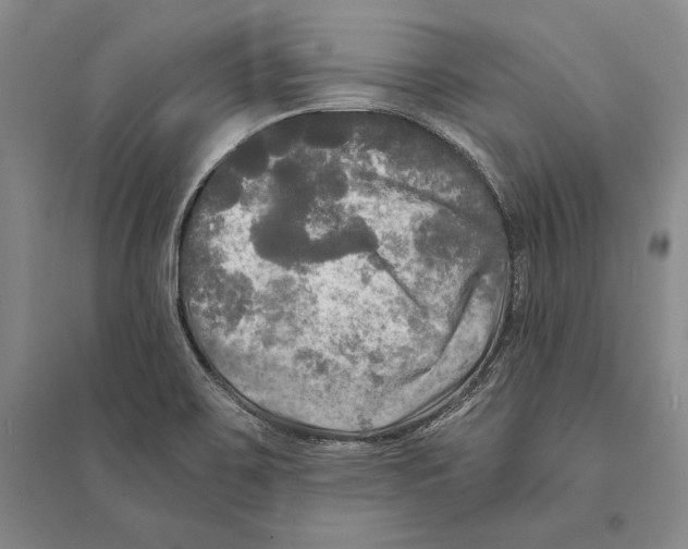 X0000095521467200801111425