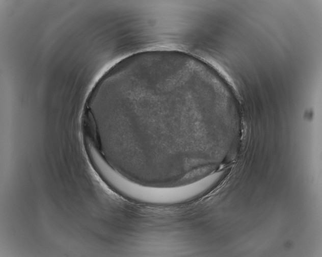 X0000095521468200801111425