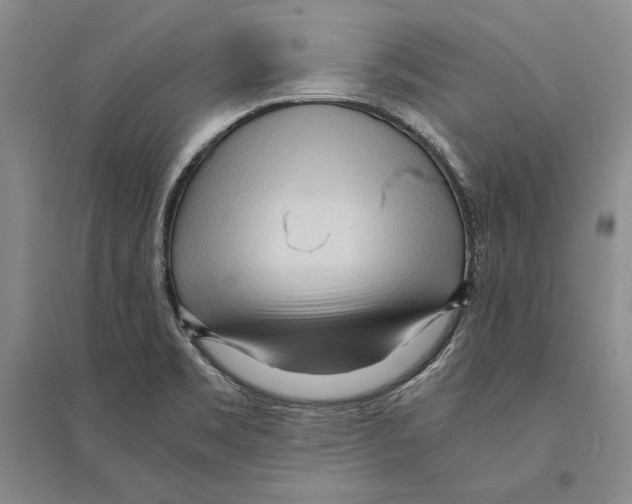 X0000095521469200801111425