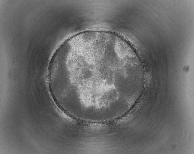 X0000095521470200801111425