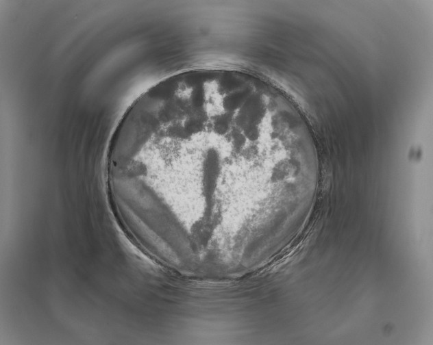 X0000095521471200801111425