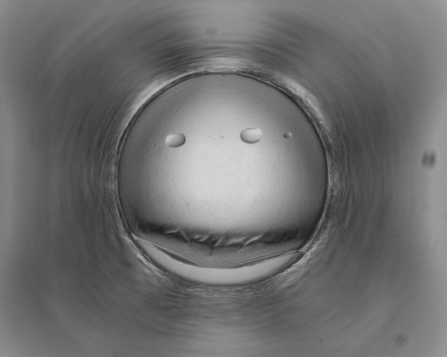 X0000095521473200801111425