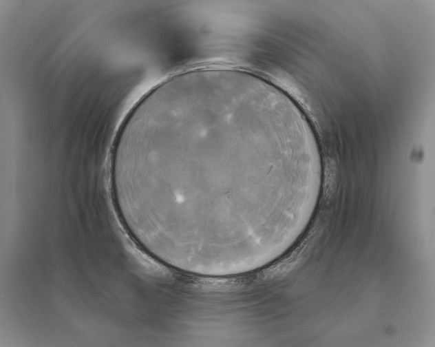 X0000095521474200801111425