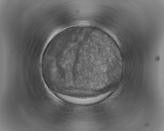 X0000095521475200801111425