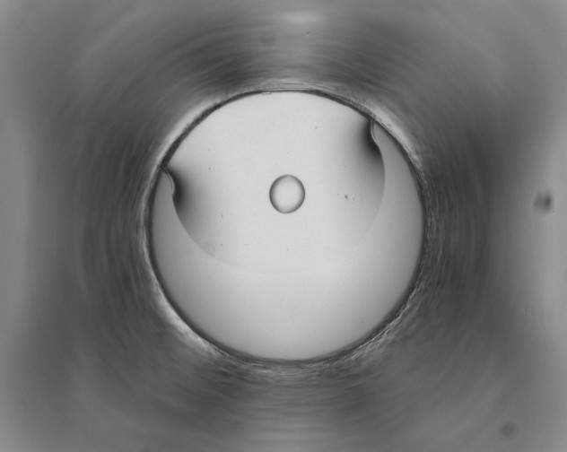 X0000095521476200801111425