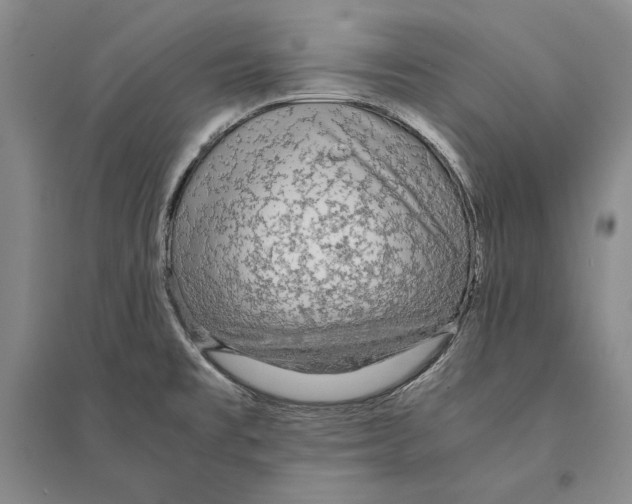 X0000095521477200801111425