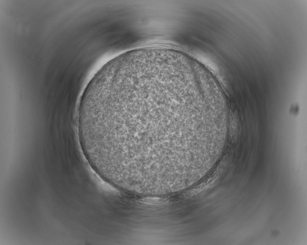 X0000095521478200801111425