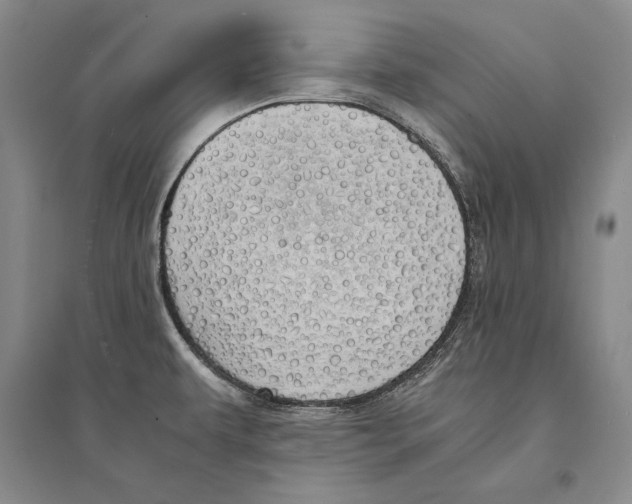 X0000095521479200801111424