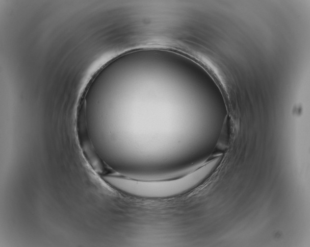 X0000095521480200801111424