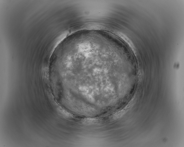 X0000095521481200801111424