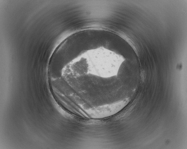 X0000095521482200801111424