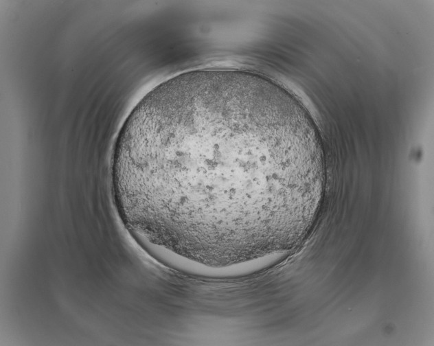 X0000095521483200801111424