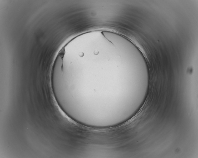 X0000095521484200801111424