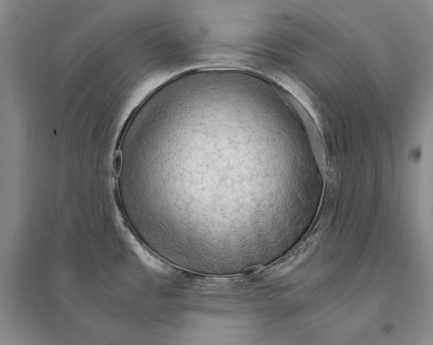 X0000095521485200801111424