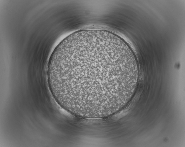 X0000095521486200801111424