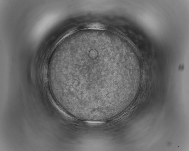 X0000095521487200801111424