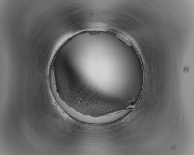 X0000095521488200801111424