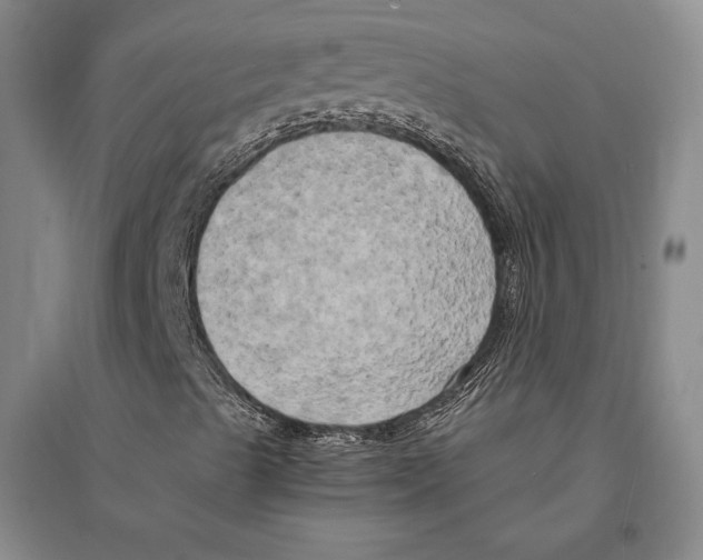 X0000095521489200801111424