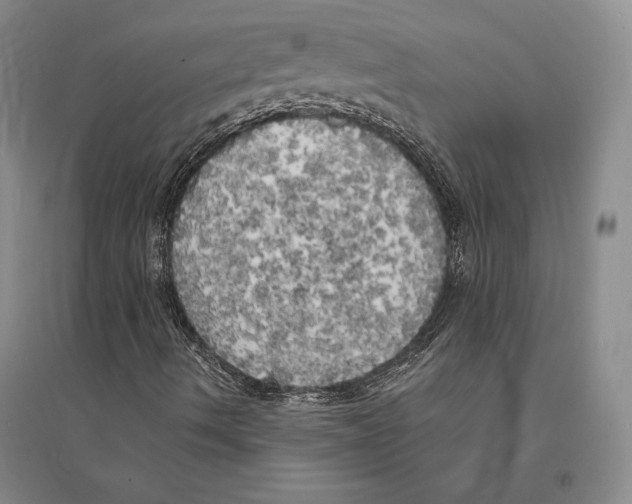 X0000095521490200801111424