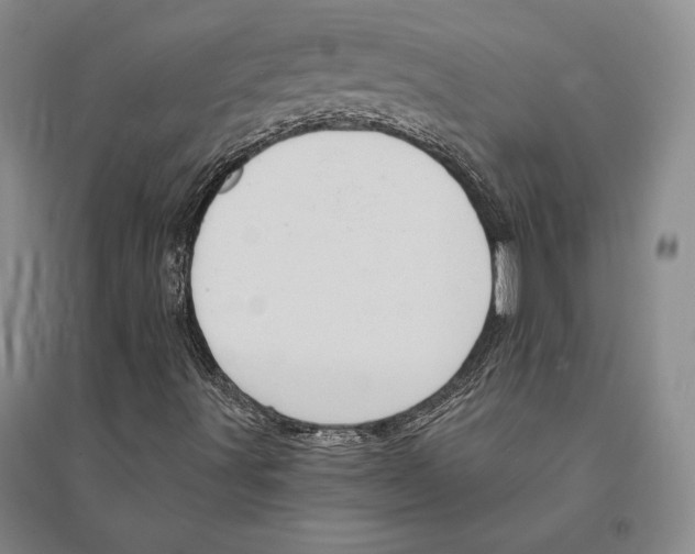 X0000095521491200801111424