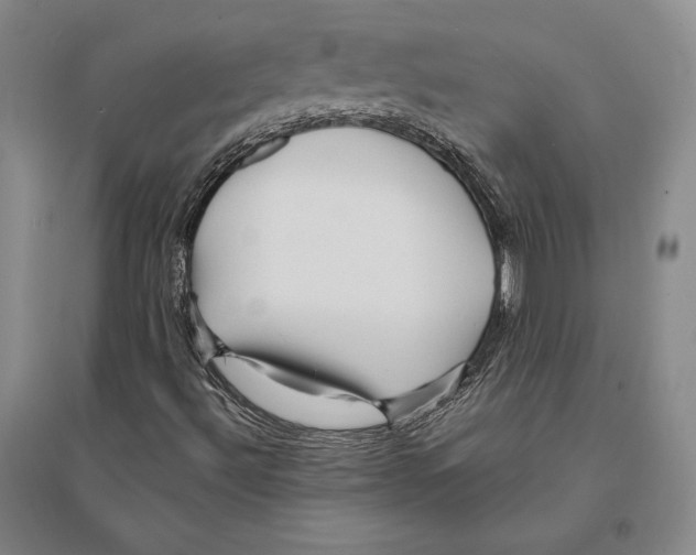 X0000095521492200801111424