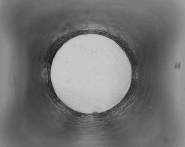 X0000095521493200801111424