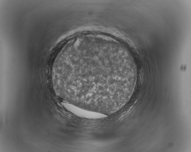 X0000095521494200801111424