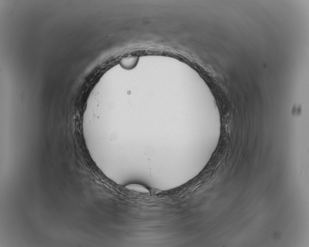 X0000095521495200801111424