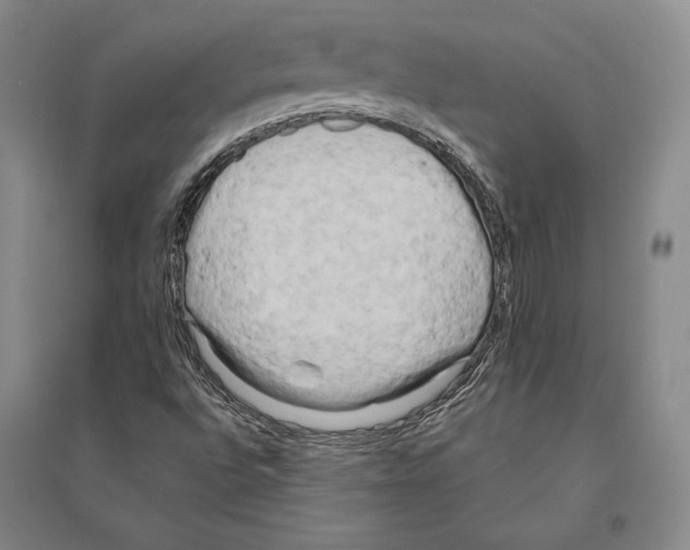 X0000095521496200801111424