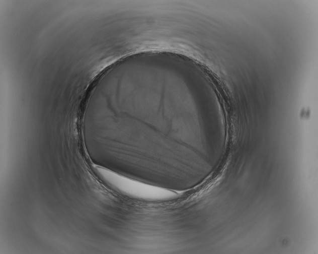 X0000095521497200801111424