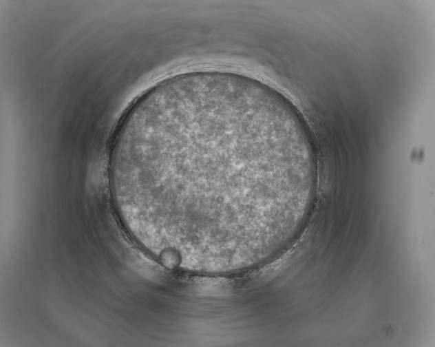 X0000095521498200801111424