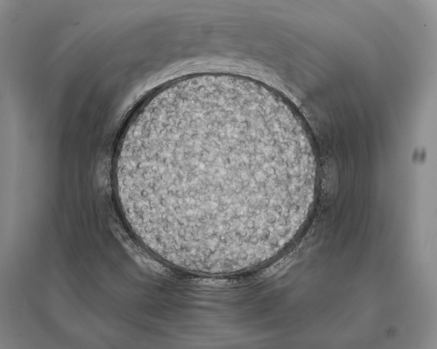 X0000095521499200801111424