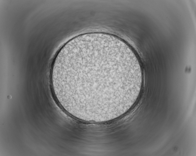 X0000095521500200801111424