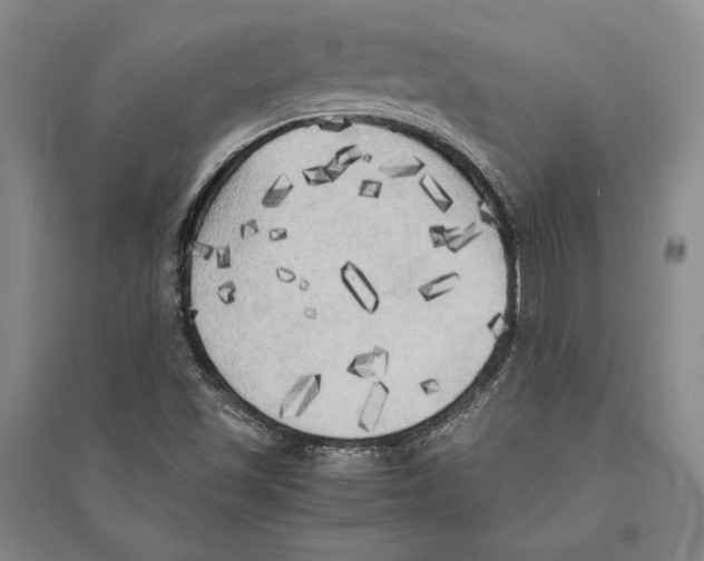 X0000095521501200801111424
