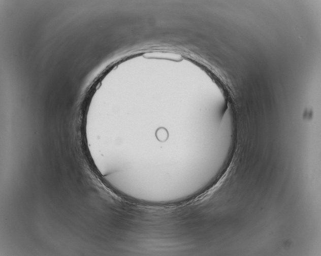 X0000095521502200801111424