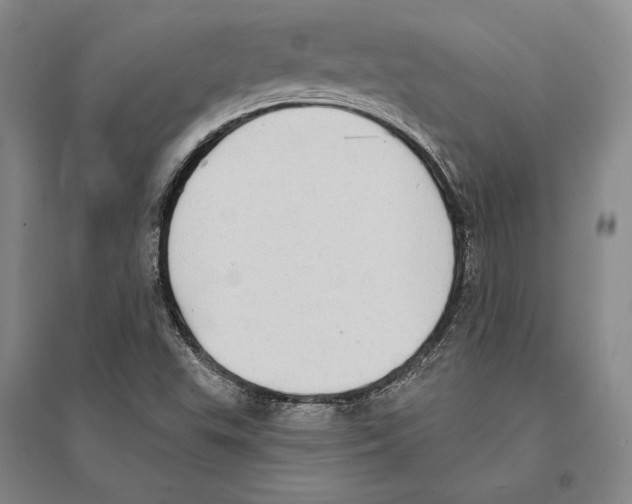 X0000095521503200801111424